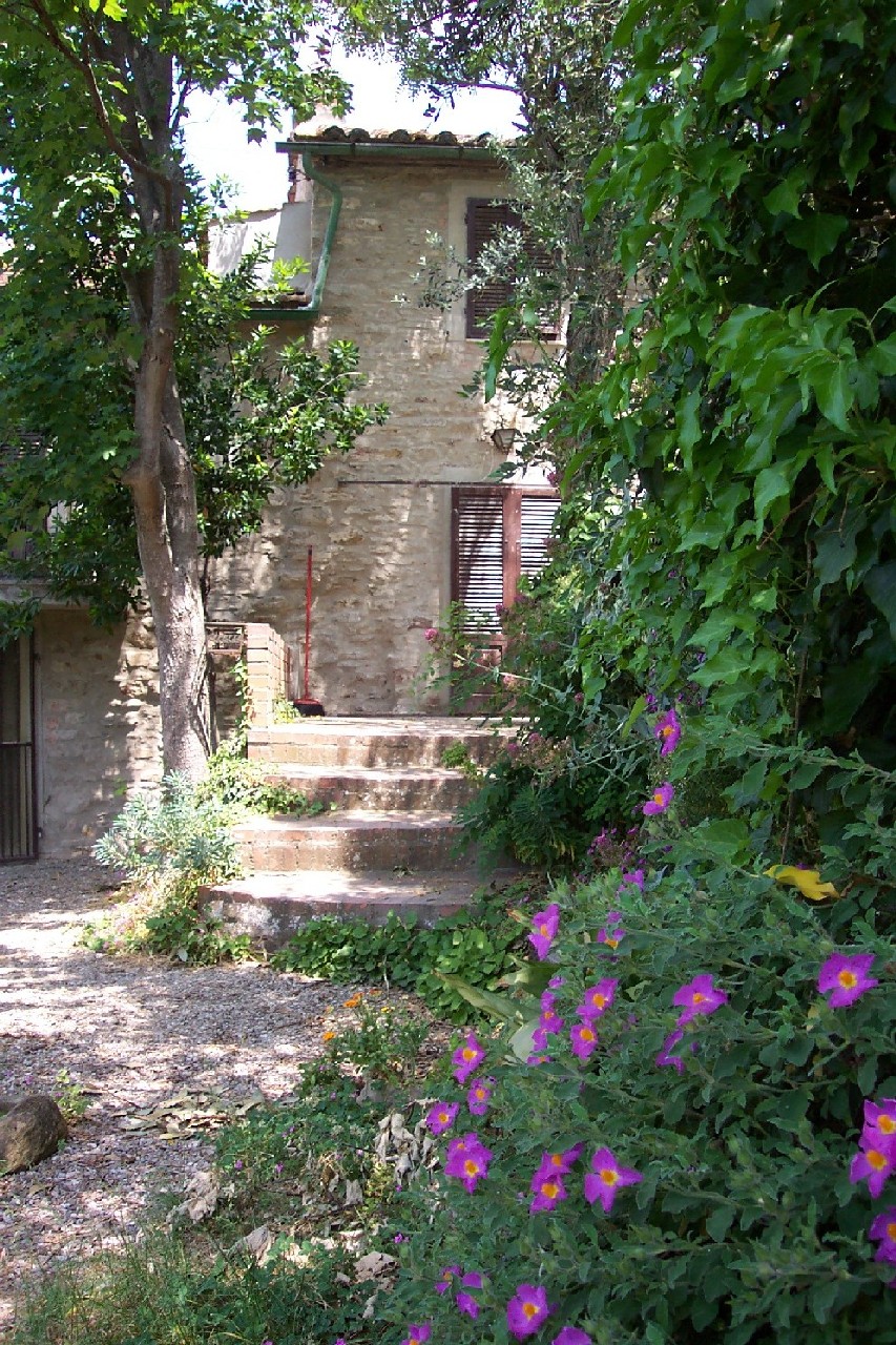 Outside of House 1